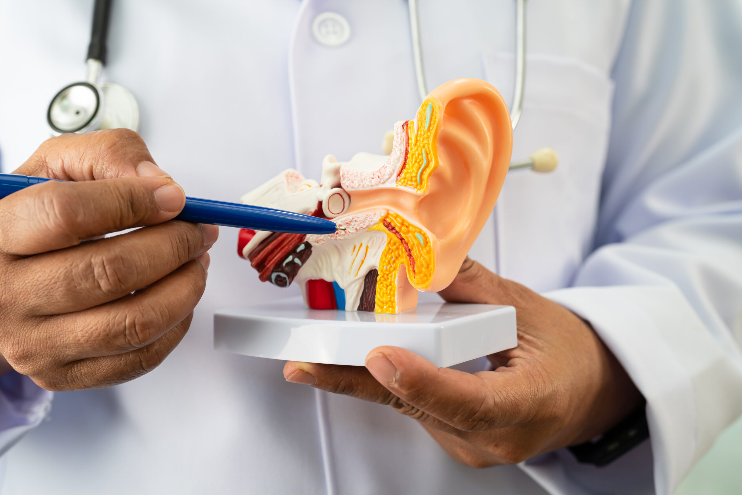 ENT Surgeon in Bangalore